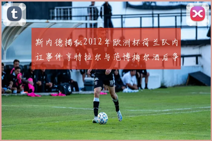 斯内德揭秘2012年欧洲杯荷兰队内讧事件亨特拉尔与范博梅尔酒后争执内幕