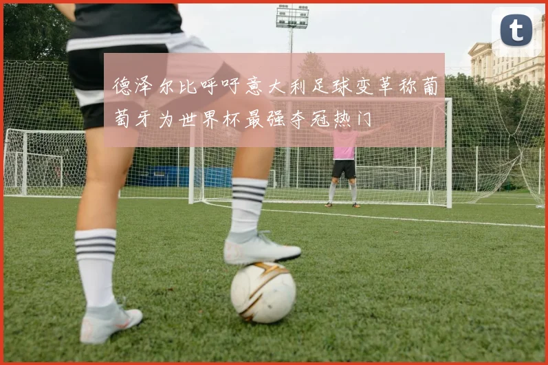 德泽尔比呼吁意大利足球变革称葡萄牙为世界杯最强夺冠热门