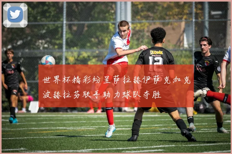 世界杯精彩纷呈萨拉赫伊萨克加克波赫拉芬联手助力球队夺胜